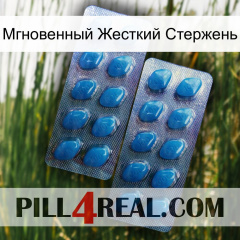 Мгновенный Жесткий Стержень viagra2